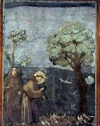 GIOTTO di Bondone Sermon to the Birds oil painting artist